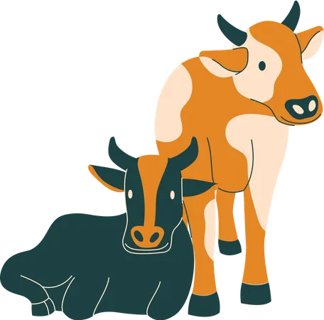 Cow  Illustration