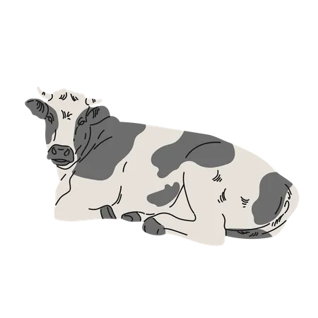 Cow sitting  Illustration