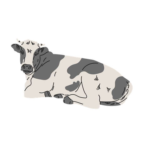 Cow sitting  Illustration