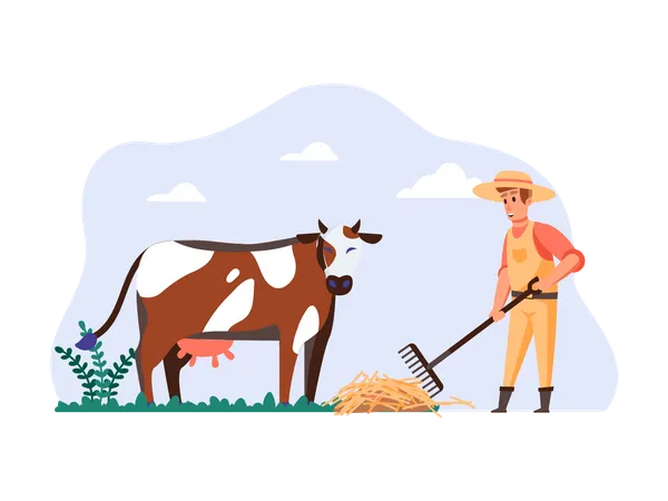 Cowman donnant de la nourriture à une vache  Illustration