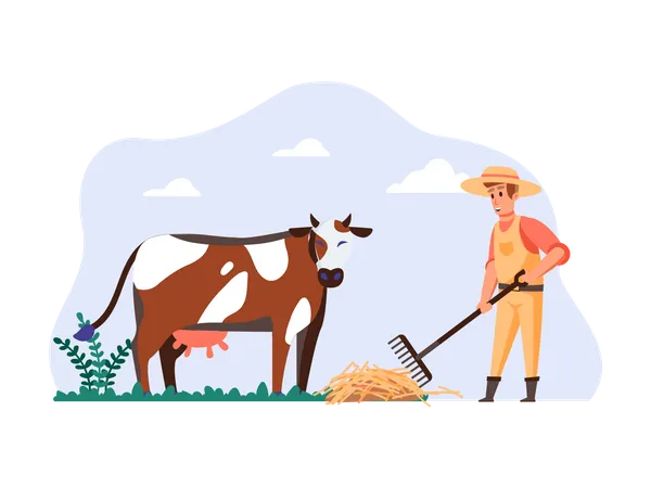 Cowman giving food to cow Illustration