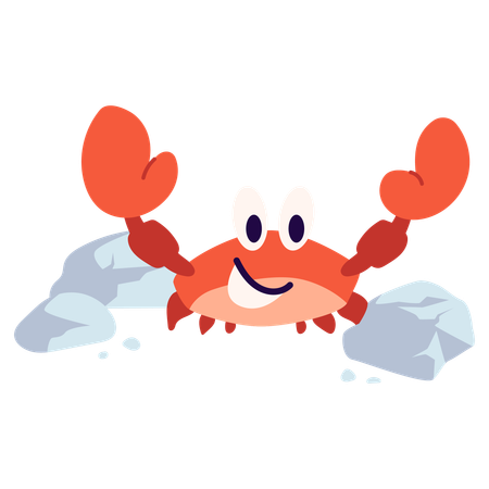 Crab  Illustration