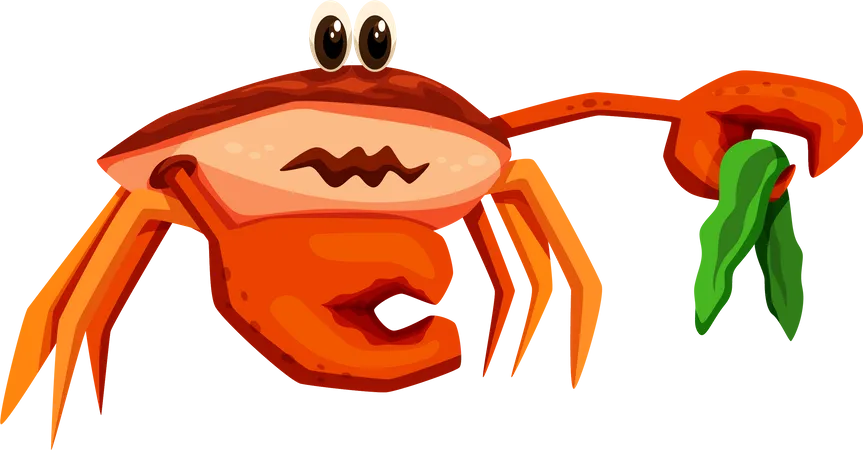 Crab  Illustration