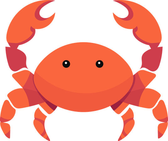 Crab  Illustration