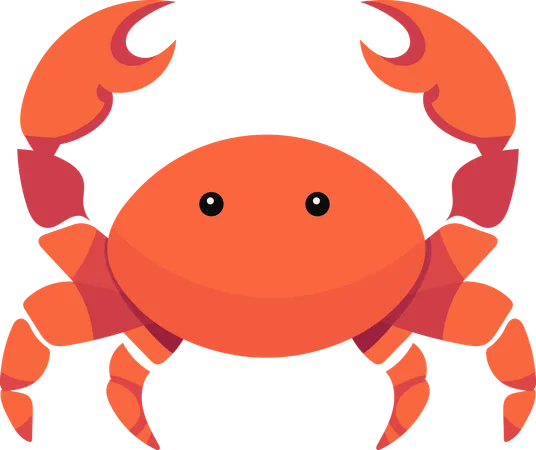 Crab  Illustration