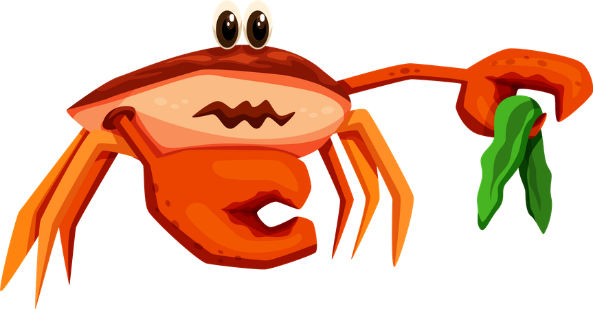 Crabe  Illustration