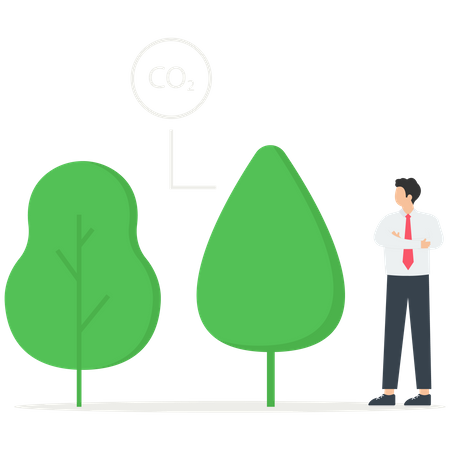 Credit and forest conservation. Low carbon  Illustration