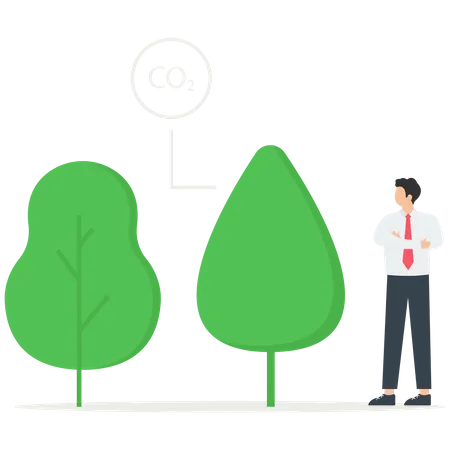 Credit and forest conservation. Low carbon  Illustration