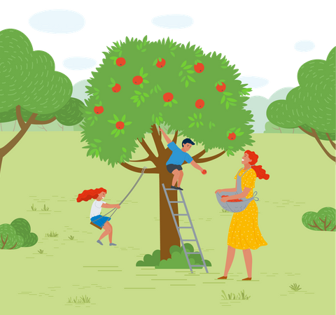Criança colhendo frutas da árvore  Ilustração