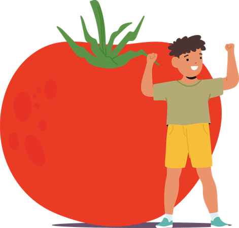 Criança em pé com tomate  Ilustração