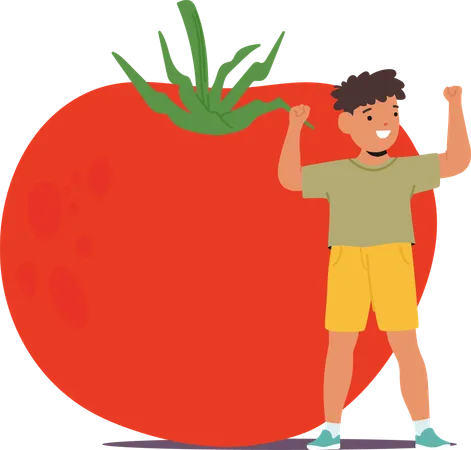 Criança em pé com tomate  Ilustração