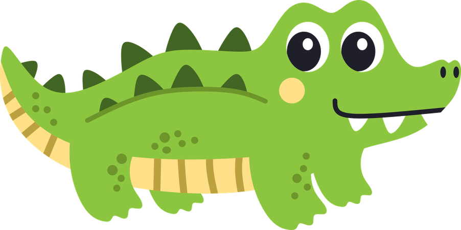 Crocodile  Illustration