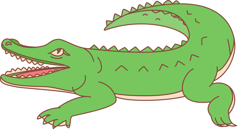 Crocodile  Illustration