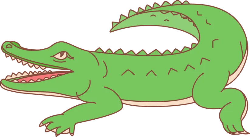 Crocodile  Illustration