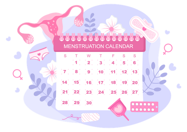 Cronograma menstrual  Ilustração