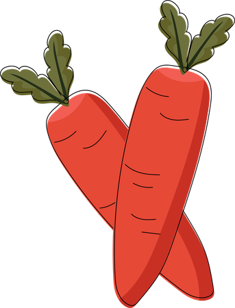 Crossed Carrots  Illustration
