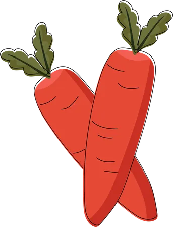 Crossed Carrots  Illustration