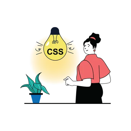 Css developer  Illustration