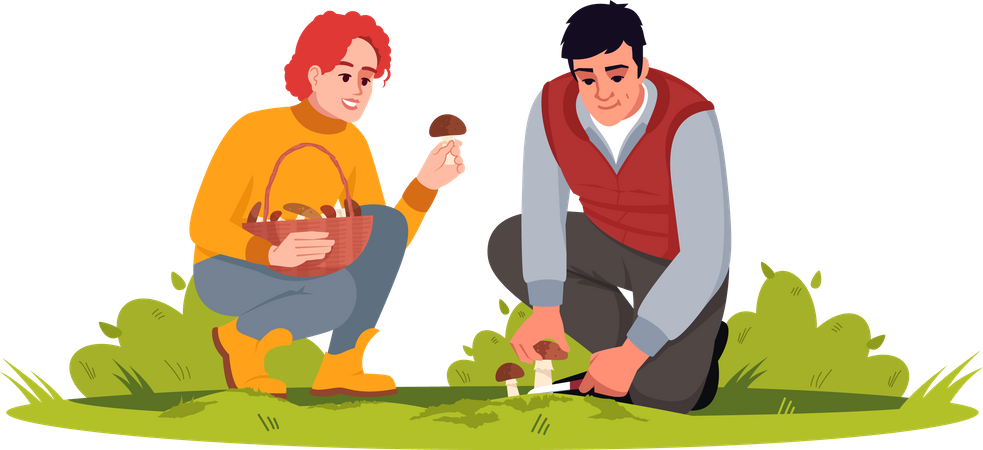 Couple cueillant des champignons  Illustration