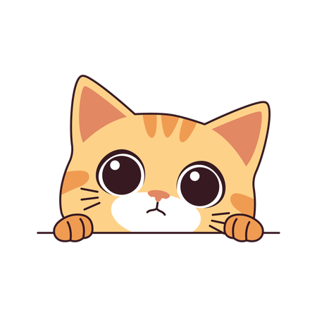 Curious cat face  Illustration