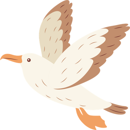 Cute Albatross Bird Flying  Illustration