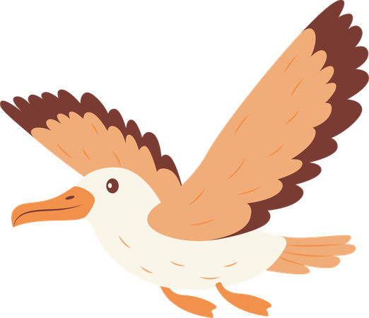 Cute Albatross Bird Flying  Illustration