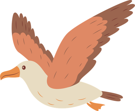 Cute Albatross Bird Flying  Illustration