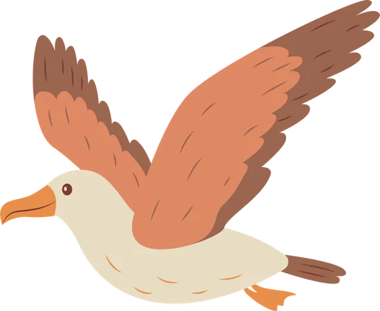 Cute Albatross Bird Flying  Illustration