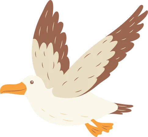 Cute Albatross Bird Flying  Illustration