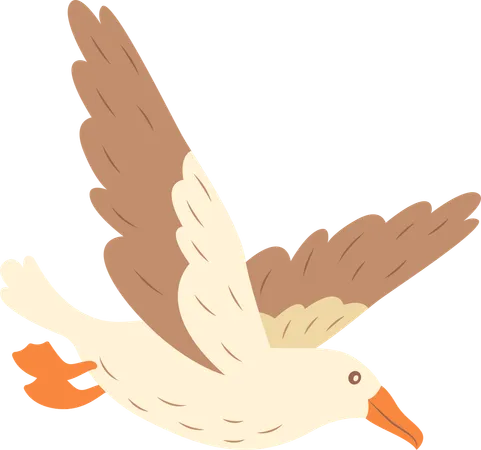 Cute Albatross Bird Flying  Illustration