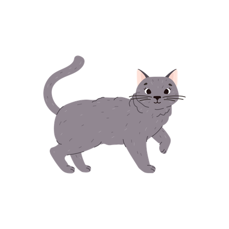 ブリティッシュショートヘア種の可愛くて面白い猫  イラスト