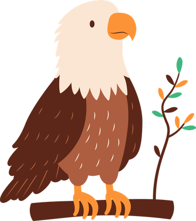 Cute Bald Eagle  Illustration