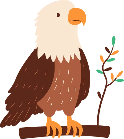 Cute Bald Eagle  Illustration