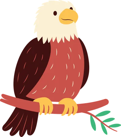 Cute Bald Eagle  Illustration