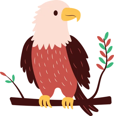 Cute Bald Eagle  Illustration