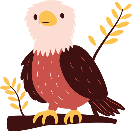 Cute Bald Eagle  Illustration