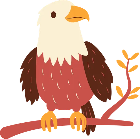 Cute Bald Eagle  Illustration