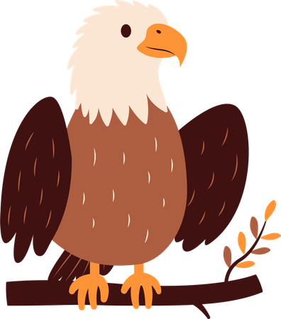 Cute Bald Eagle  Illustration