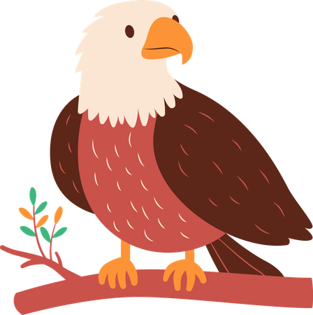 Cute Bald Eagle on Tree  Illustration