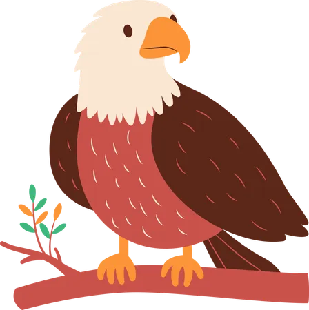 Cute Bald Eagle on Tree  Illustration