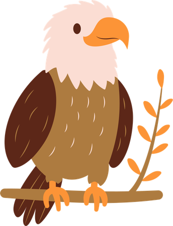 Cute Bald Eagle on Tree Twig  Illustration