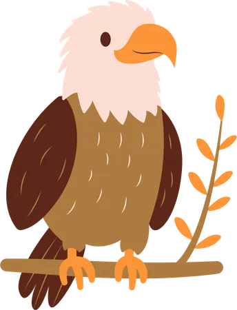 Cute Bald Eagle on Tree Twig  Illustration