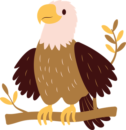 Cute Bald Eagle on Tree Twig  Illustration