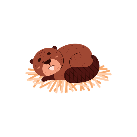 Cute beaver sleeping on wood  Illustration