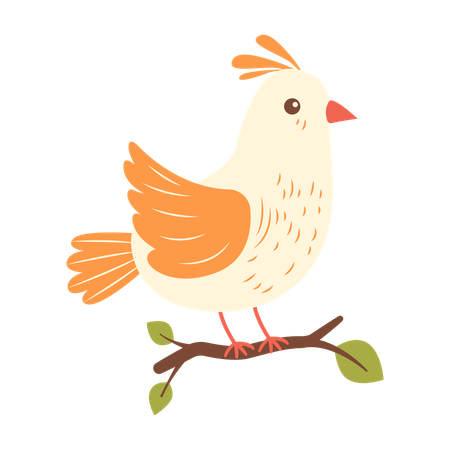 Cute Beige Dove on Tree Branch  Illustration