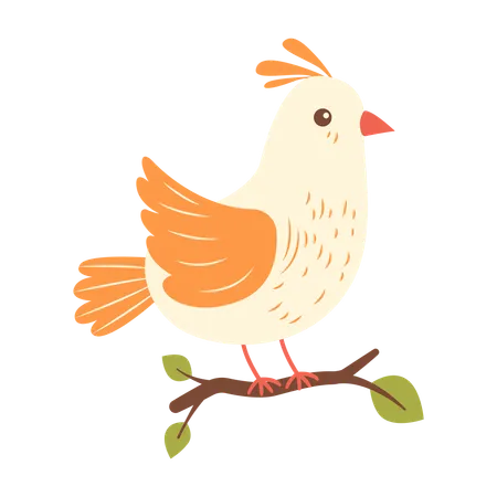 Cute Beige Dove on Tree Branch  Illustration