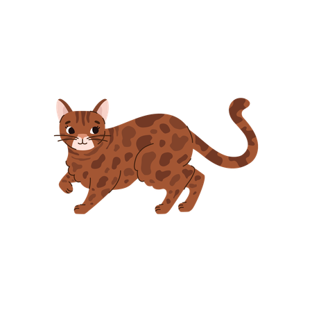 Cute bengal cat walking  Illustration