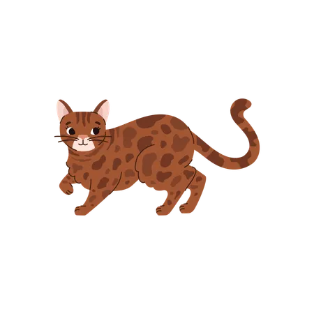 Cute Bengal Cat Walking Cartoon Flat Vector Illustration Isolated On White Background Cheerful Animal Drawing Concepts Of Cat Breeds And Domestic Pets Illustration