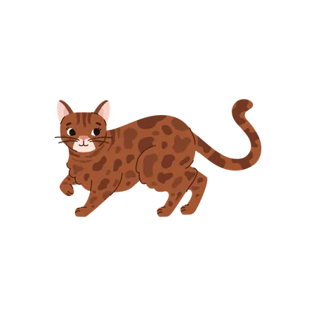 Cute bengal cat walking  Illustration