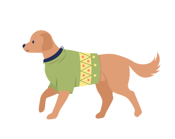 Cute big dog with christmas sweater outfit Illustration